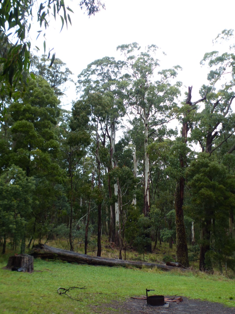 Trentham