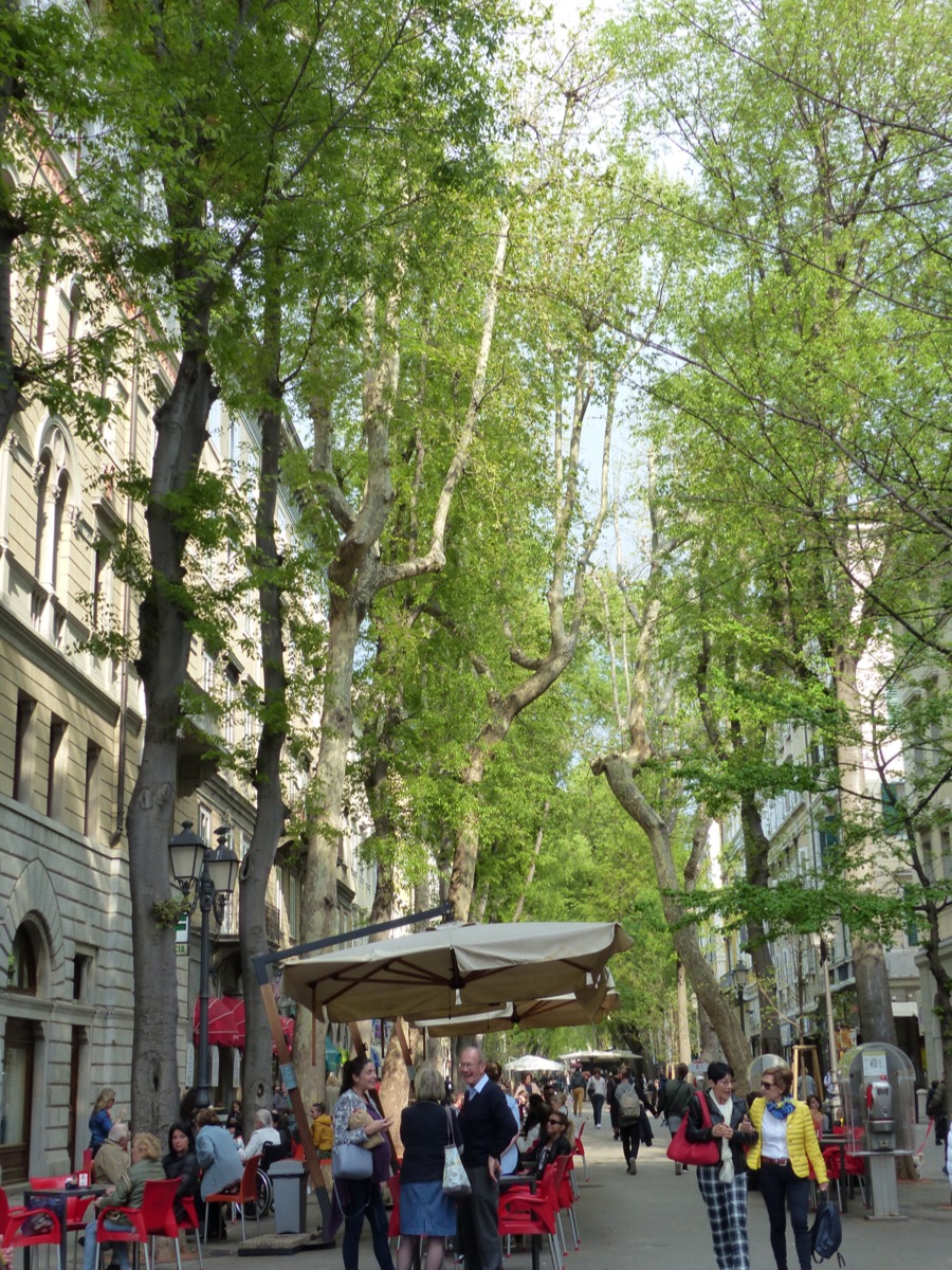 Trieste