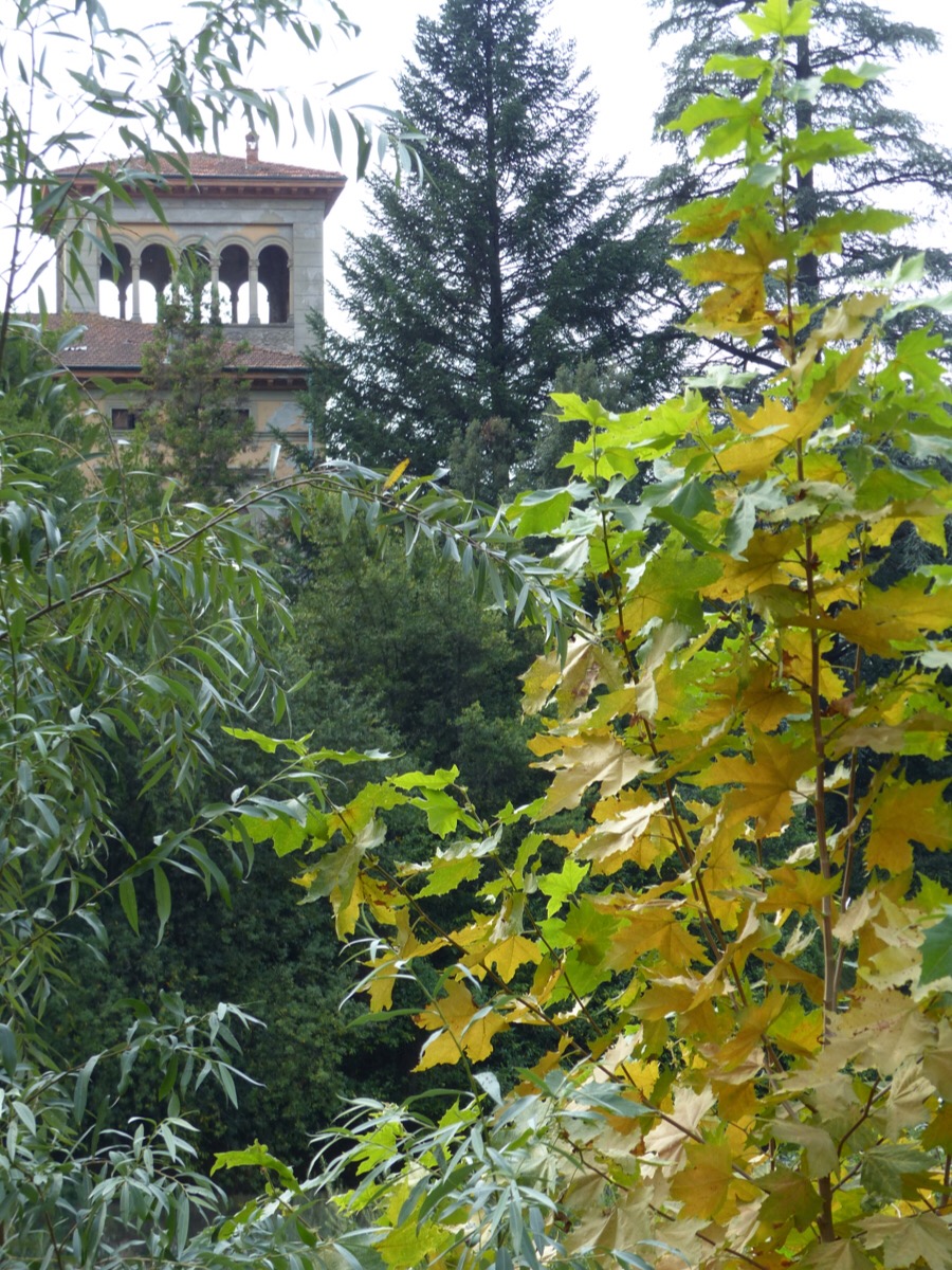 Autumn Ponte a Serraglio