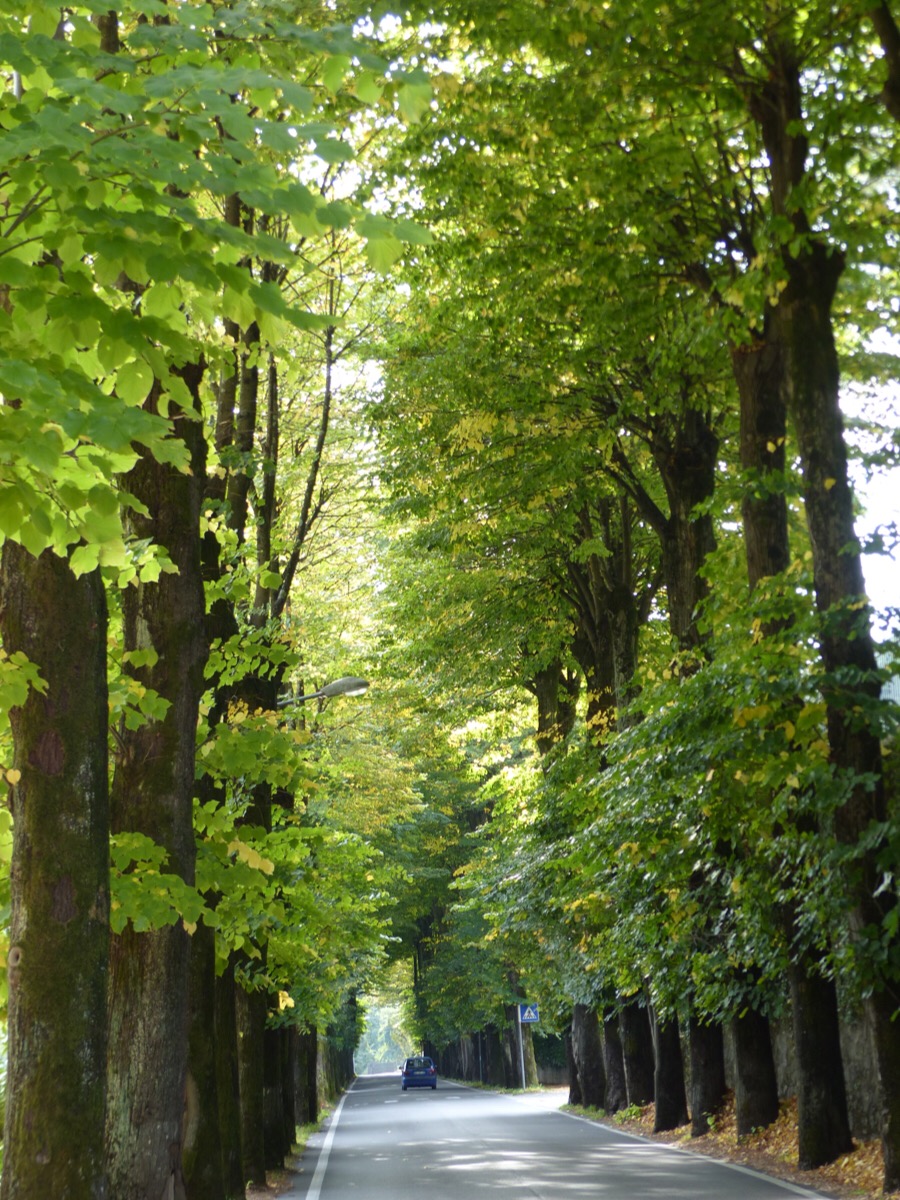 Autumn Ponte a Serraglio