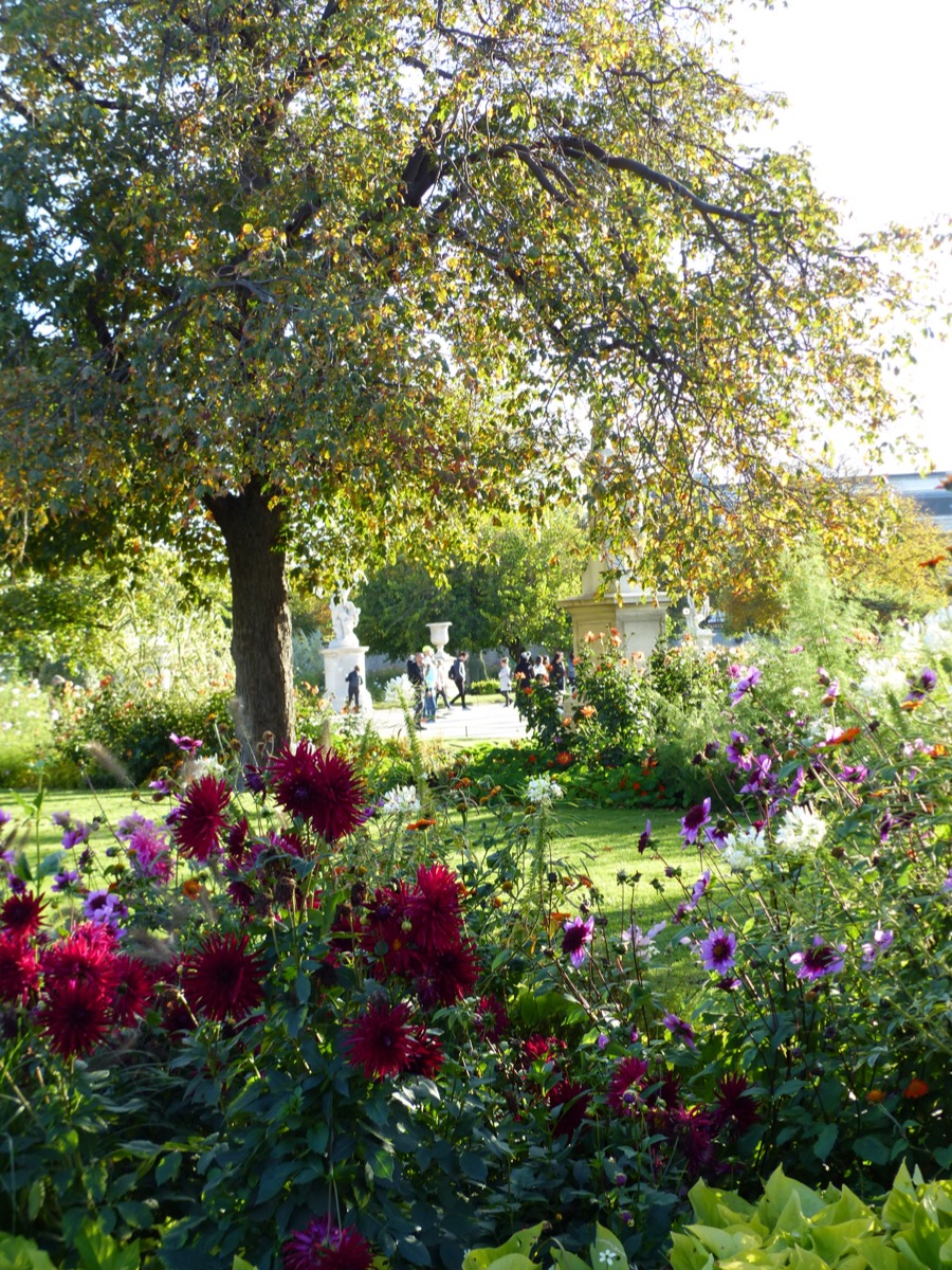 Tuileries Paris