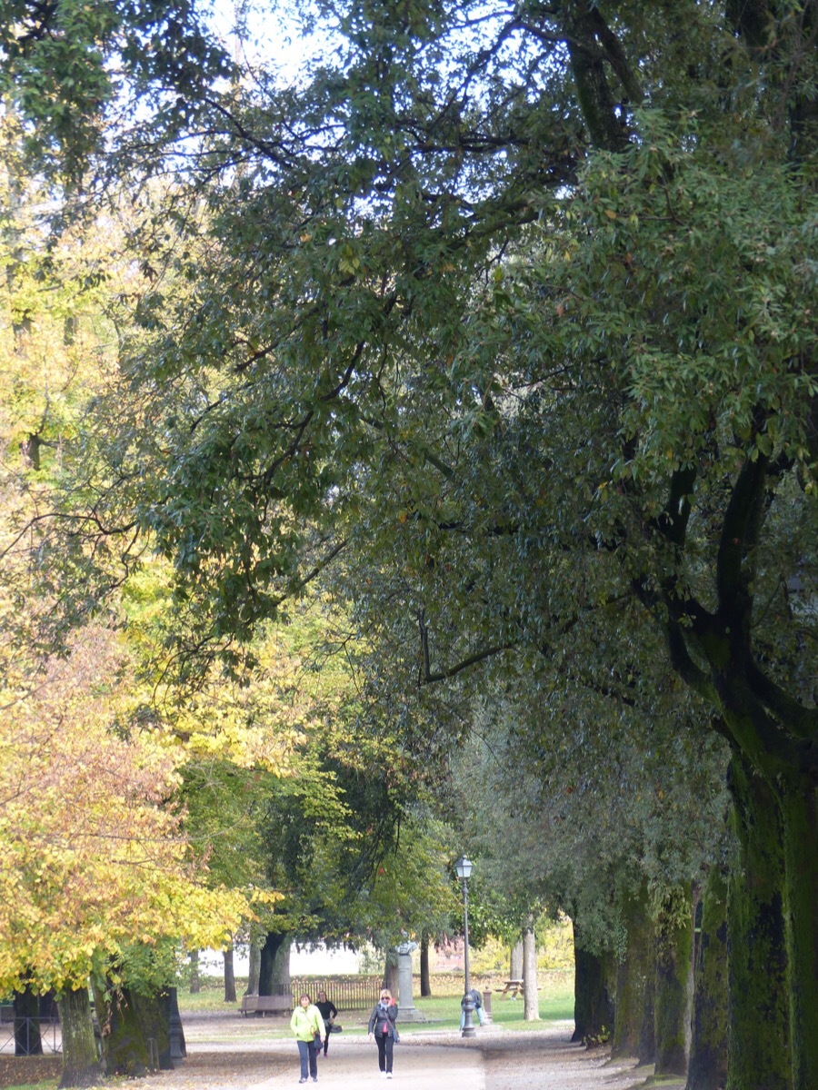 Lucca autumn