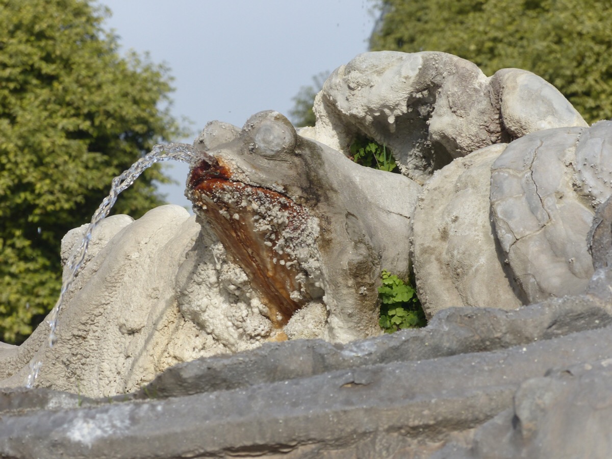 Frog fountain Rome