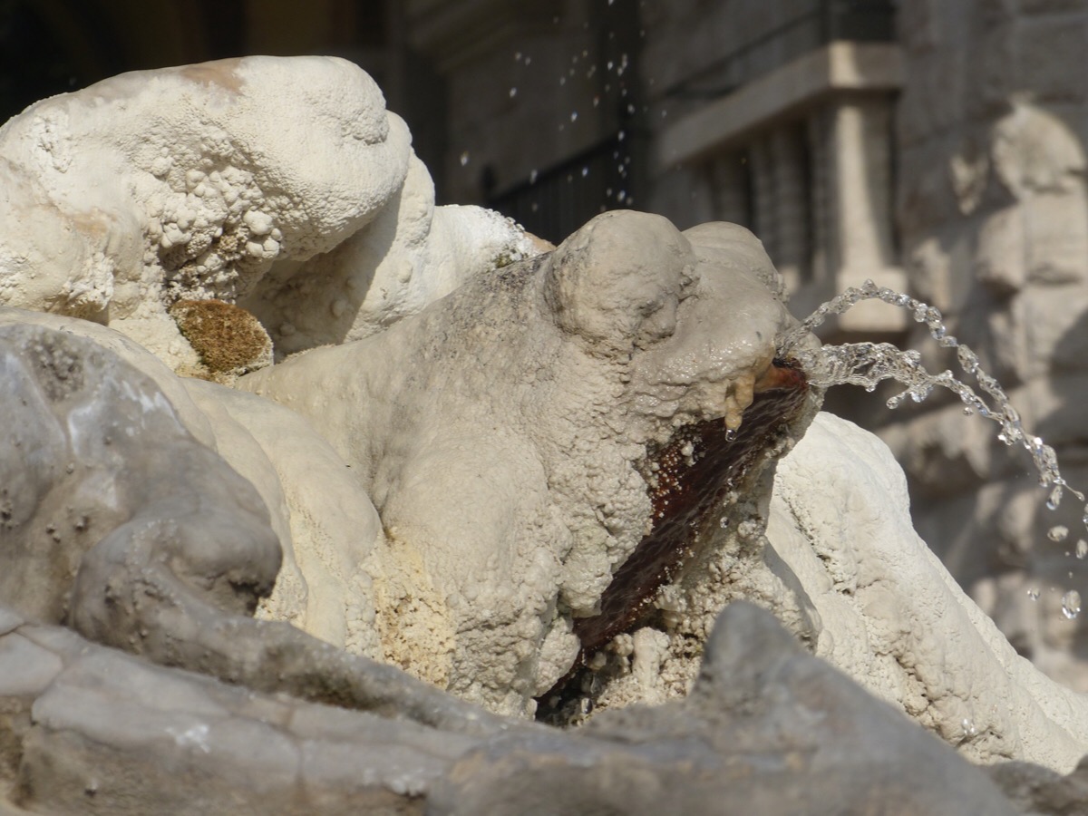 Frog fountain Rome