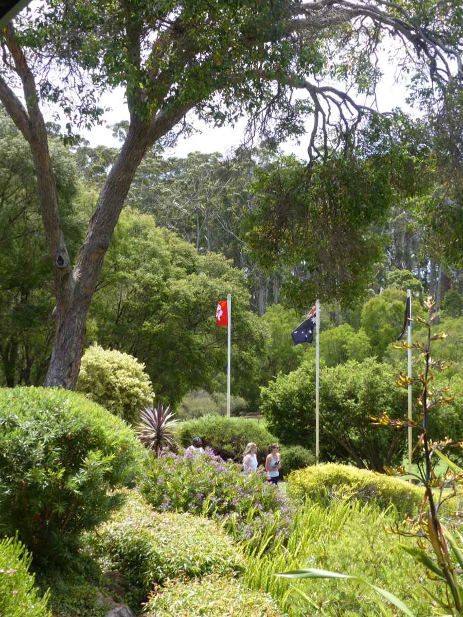 Leeuwin Estate