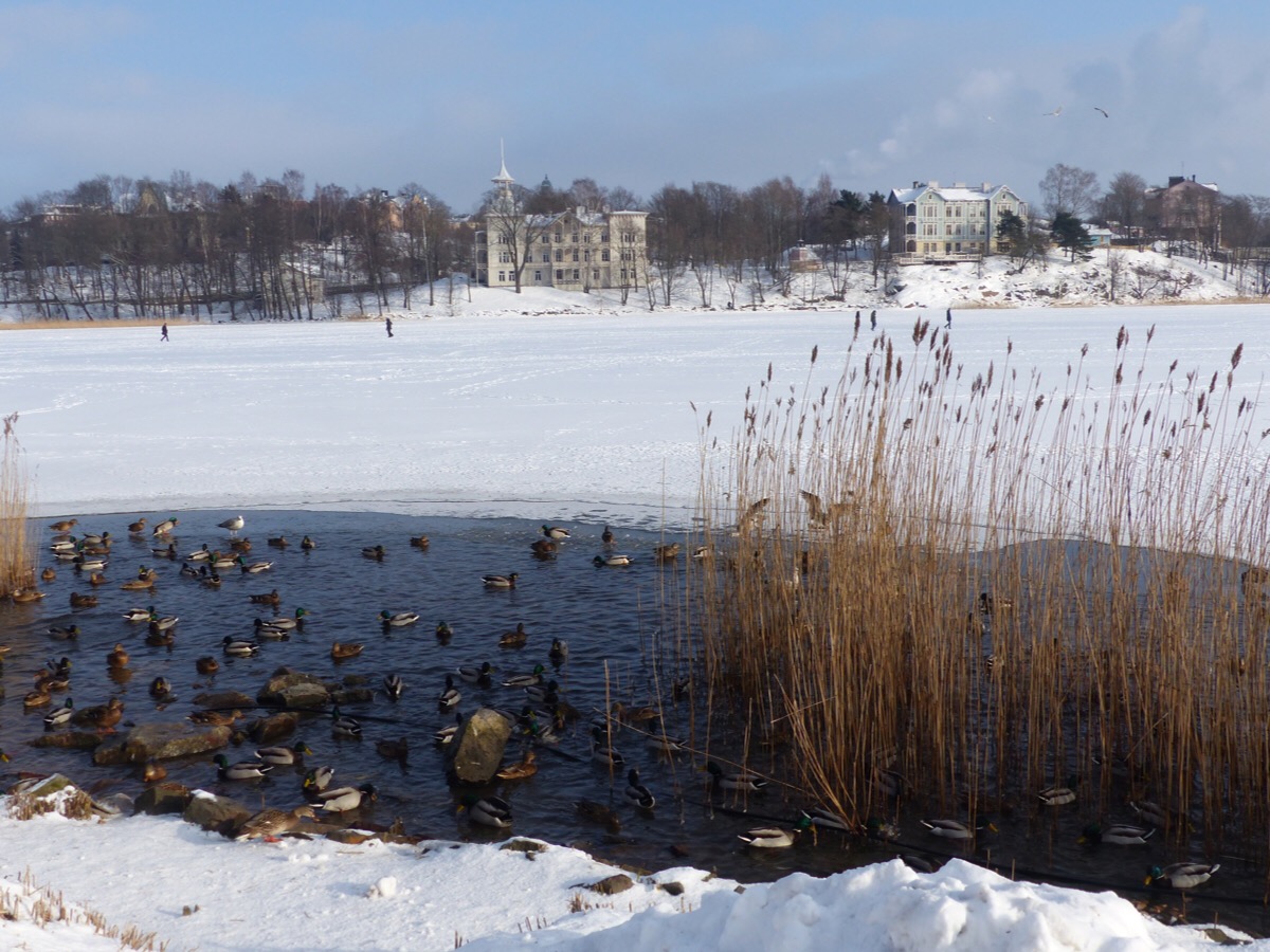 Helsinki
