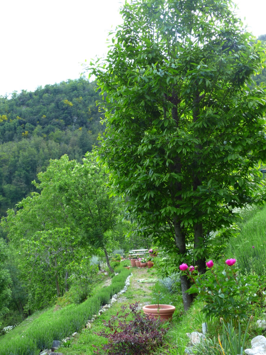 Casa Debbio