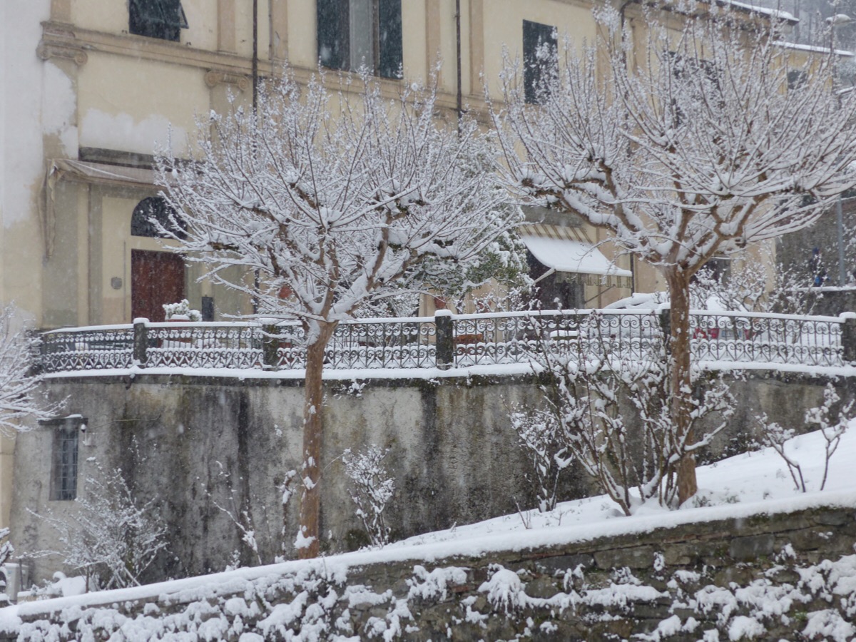 Ponte snow