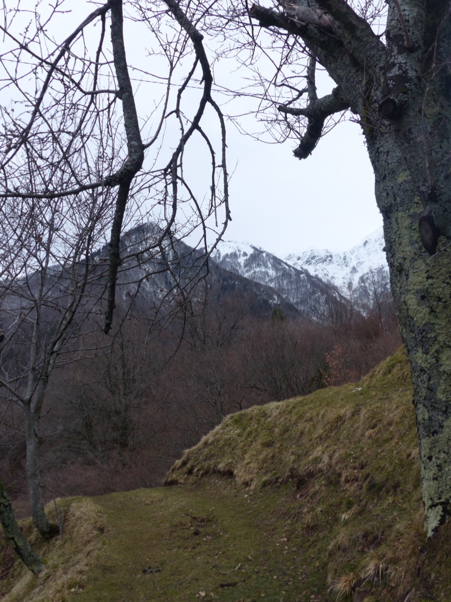 Mountains
