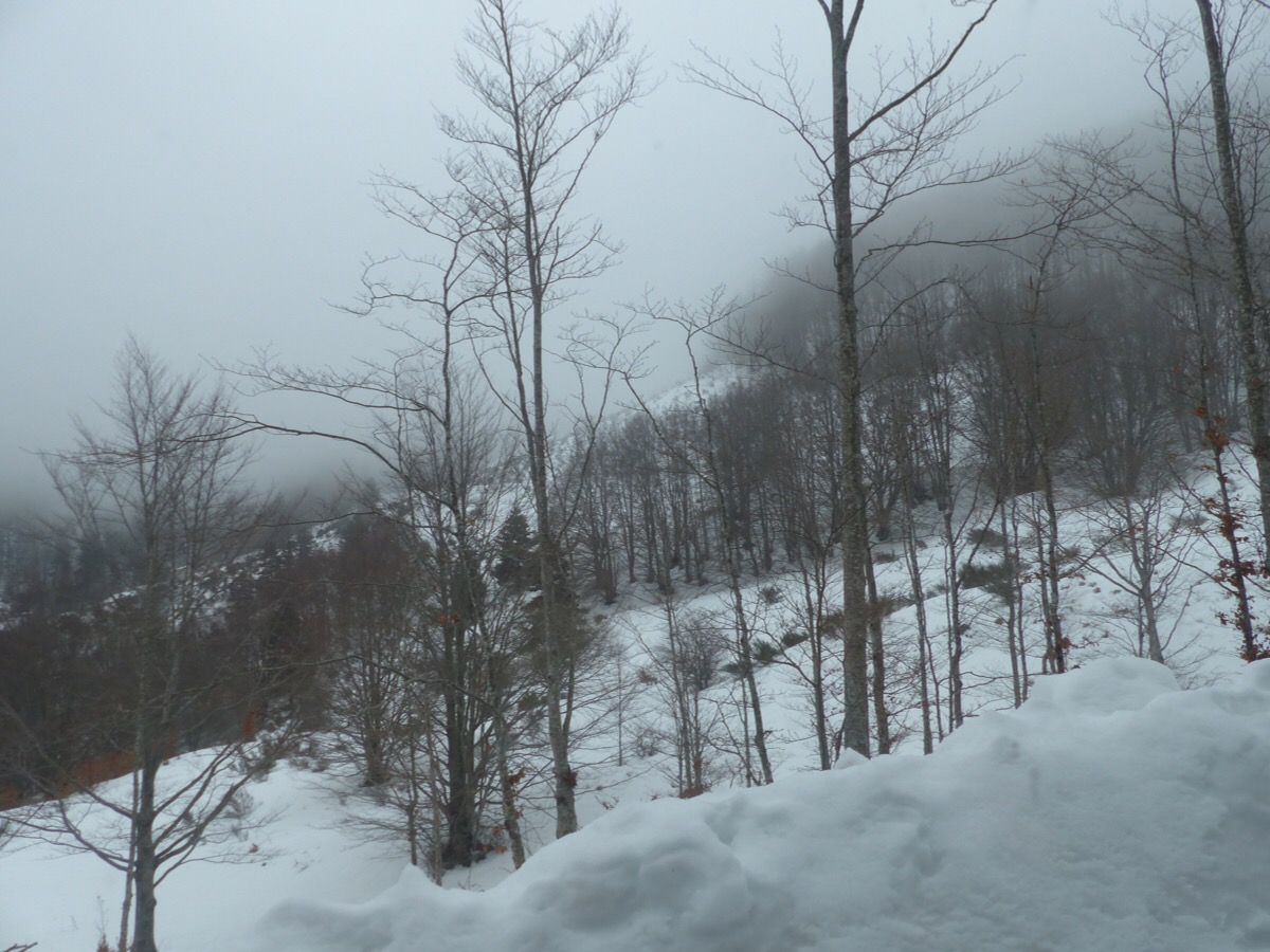 Mountains