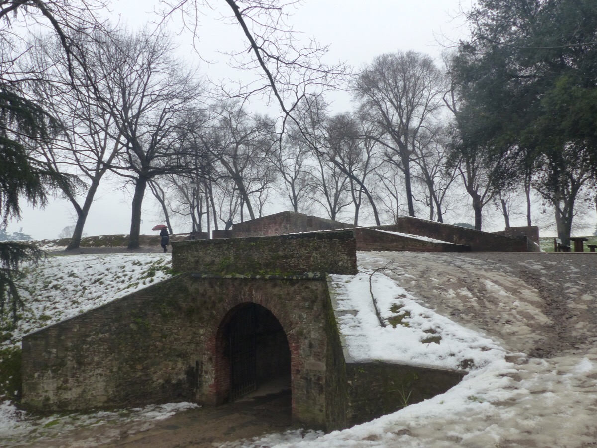 Lucca