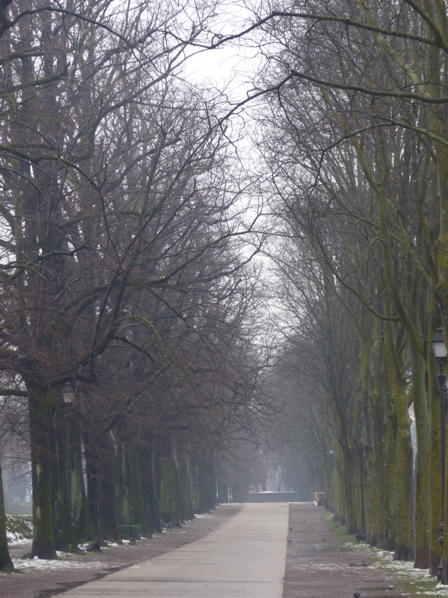 Lucca