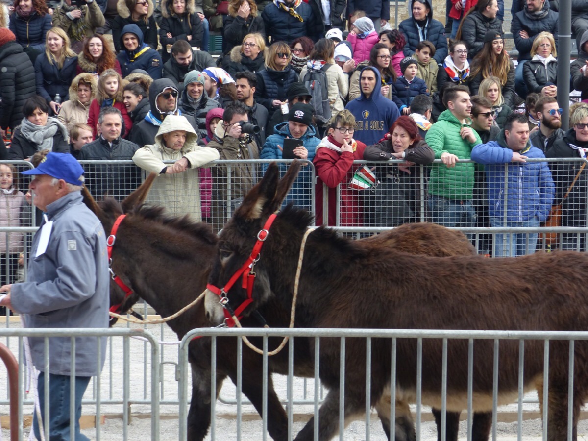 Palio dei Somari 2018